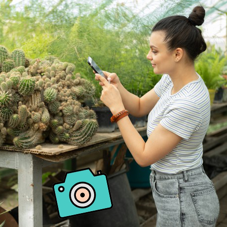 Aprende a tomar buenas fotos